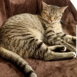 Meet your Posher, Holly